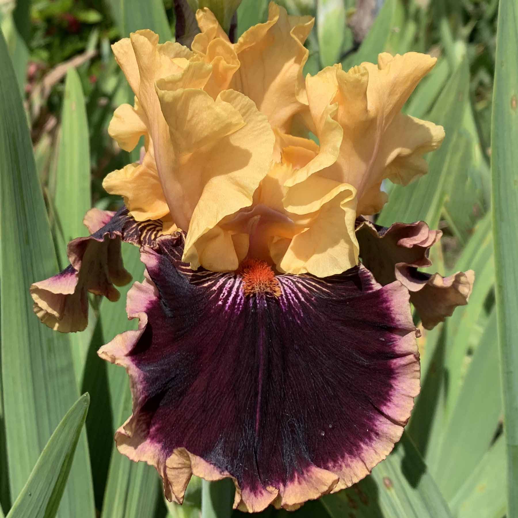 ONCE AND FOR ALL.jpg